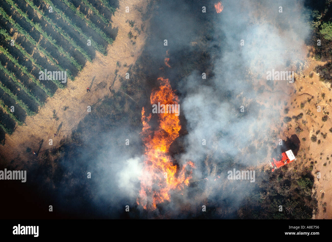 Vue aérienne de combat pompiers un incendie, les flammes, la fumée provenant des feux de forêt, red lorry, vignobles, Provence, France, Europe, Banque D'Images