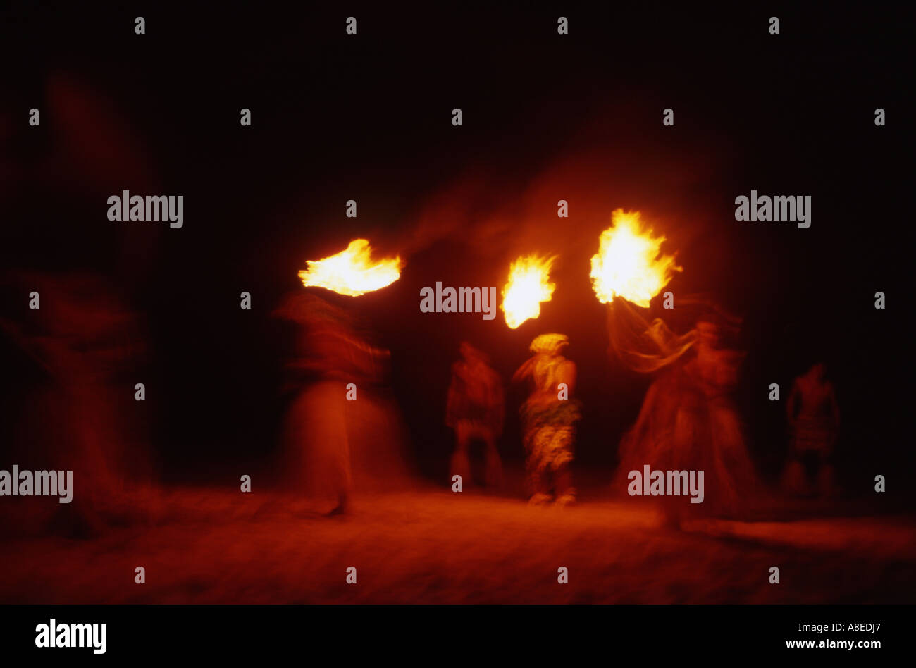 La préforme danseurs fidjien une danse traditionnelle avec des torches enflammées Banque D'Images