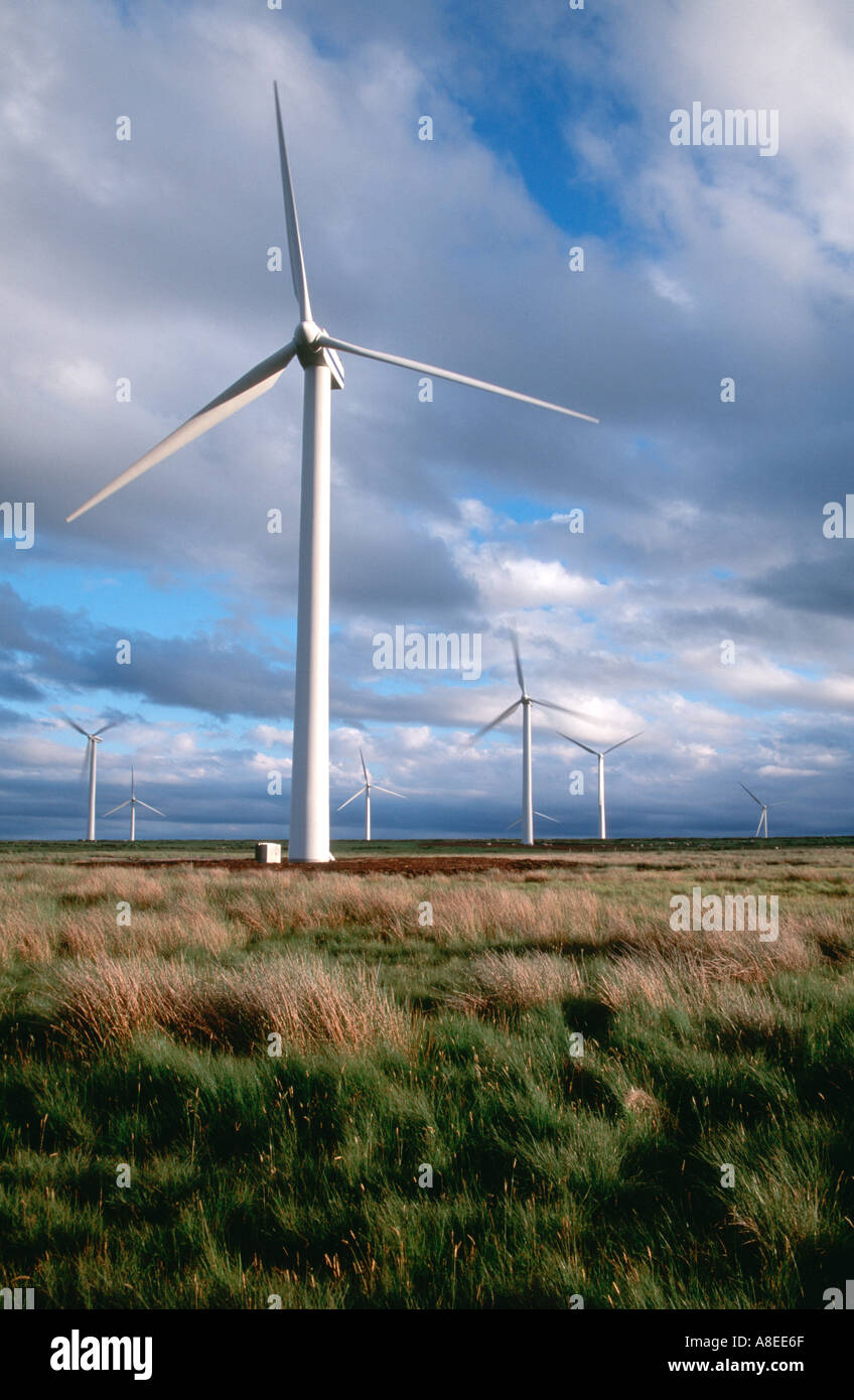 Eolienne - Frontières, Ecosse Banque D'Images