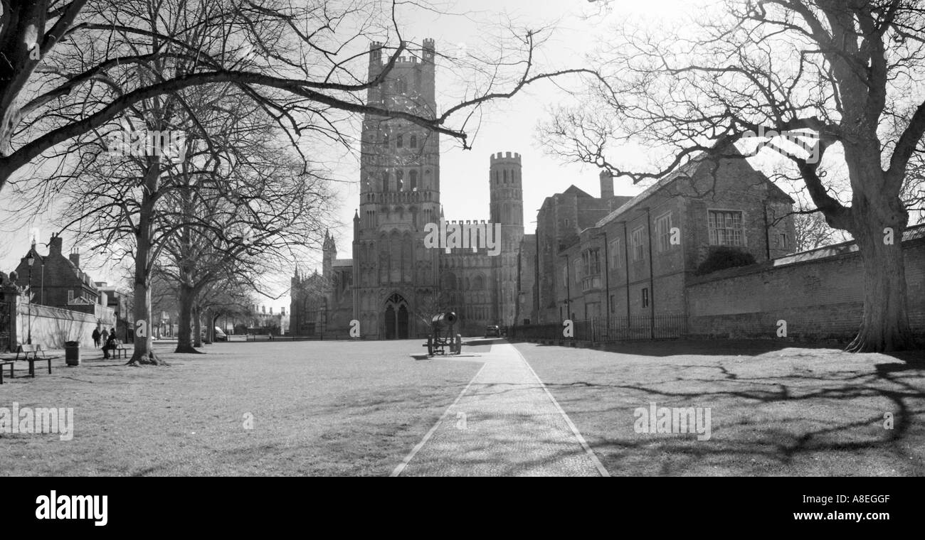 Noir et blanc monochrome de panoramique dans la cathédrale d'Ely ely cambridgeshire au printemps Banque D'Images