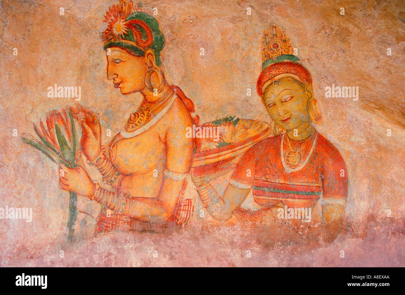 Sri Lanka Ceylon Buddhist fresque au rocher de Sigiriya, forteresse fresques Banque D'Images
