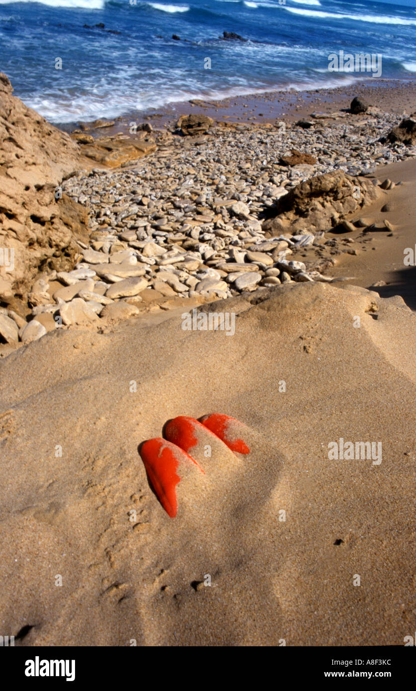 Un gant en caoutchouc orange se trouve la moitié enterré sous le sable sur une plage du Cap oriental en Afrique du Sud. Banque D'Images