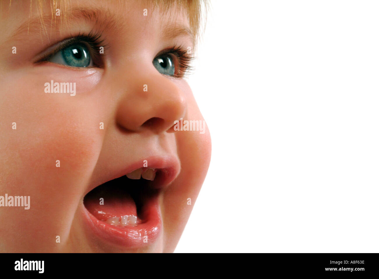 Bébé fille visage Banque D'Images