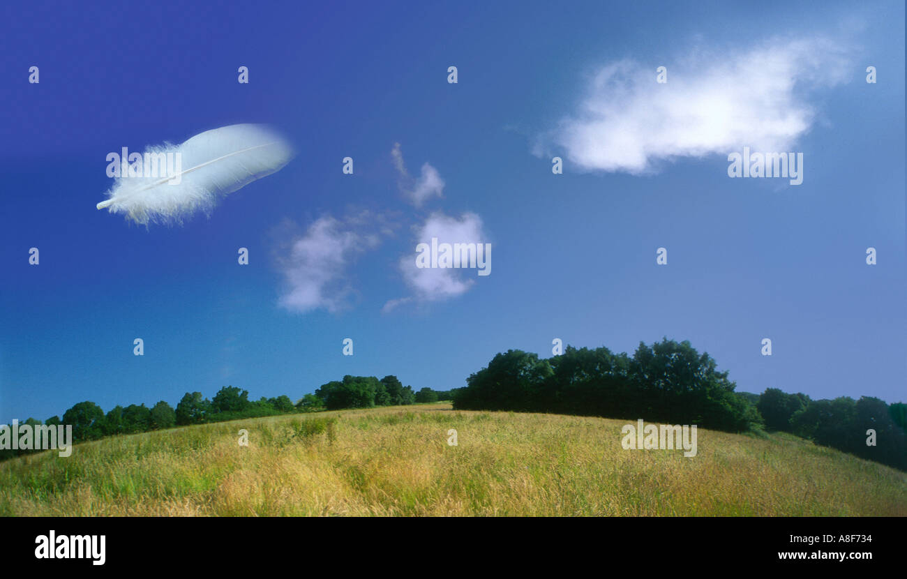 Plume et ciel bleu Banque D'Images