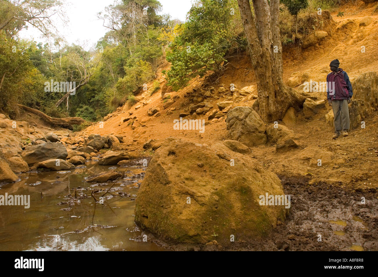 Source Source Source rivière riverbed lit bas NALEMORU RIVER Oloitokitok LOITOKITOK Kenya Afrique de l'est homme chercher de l'eau des terres rouges Banque D'Images