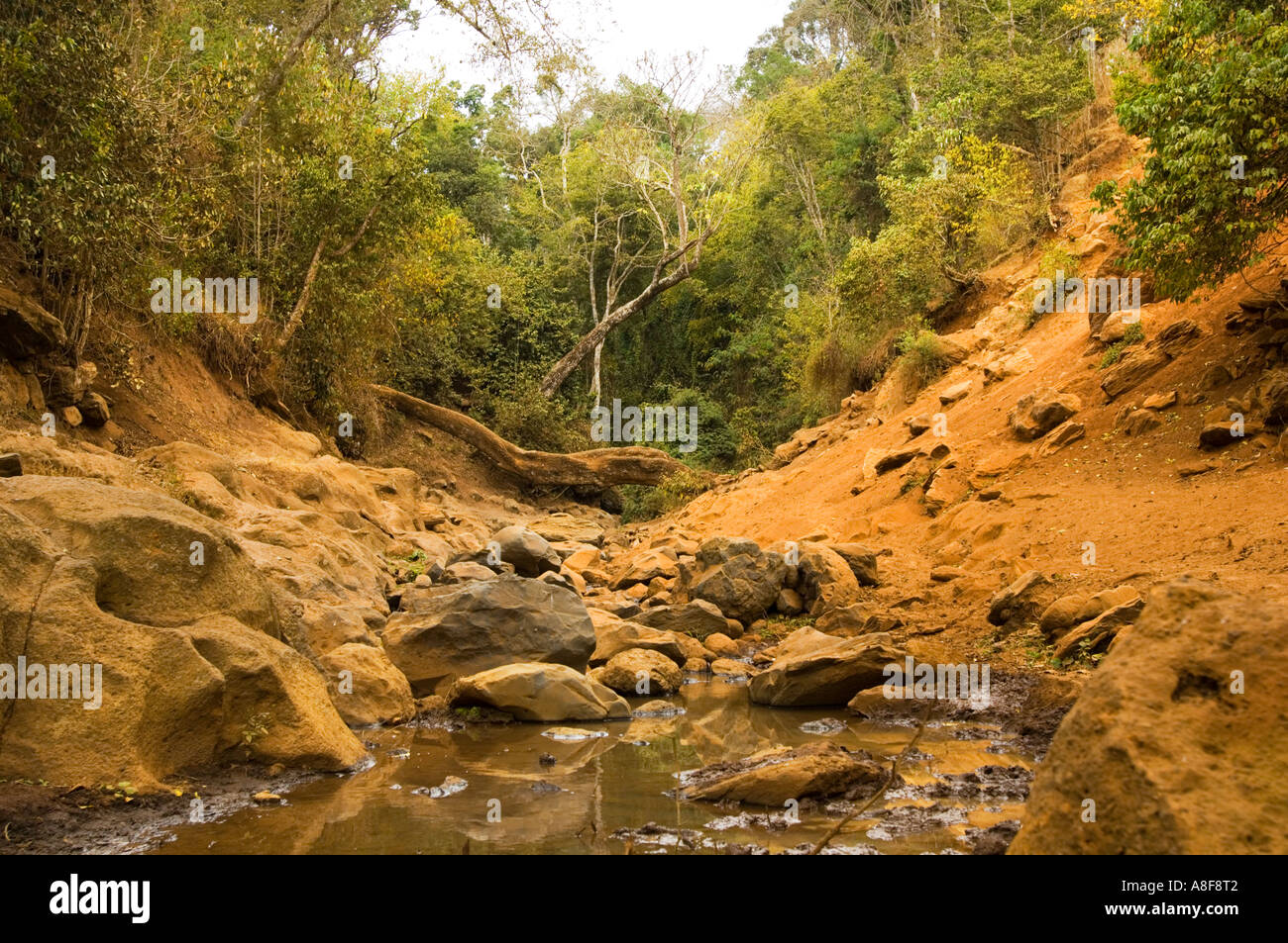 Source Source Source en bas de la rivière riverbed lit NALEMORU RIVER Oloitokitok LOITOKITOK Kenya Afrique de l'Est des terres rouges Banque D'Images