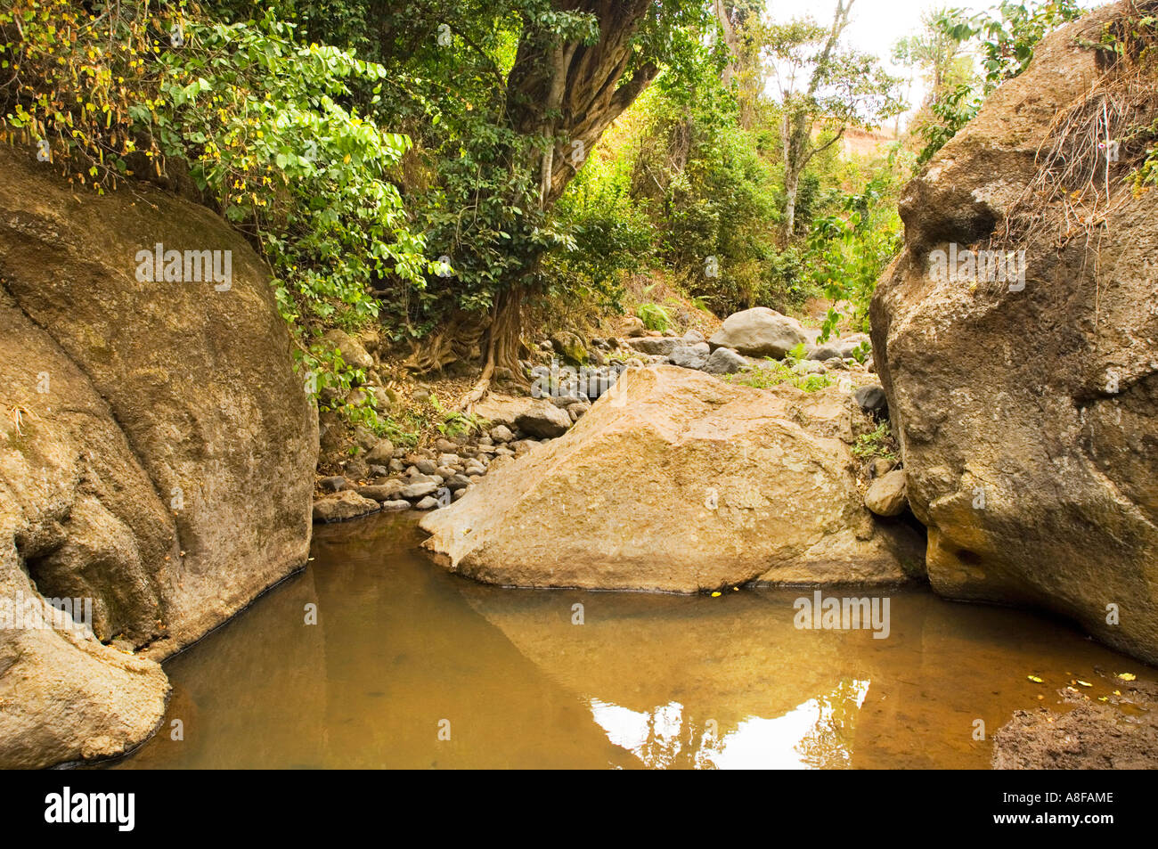 Source Source Source en bas de la rivière riverbed lit NALEMORU RIVER Oloitokitok LOITOKITOK Kenya Afrique de l'Est Banque D'Images