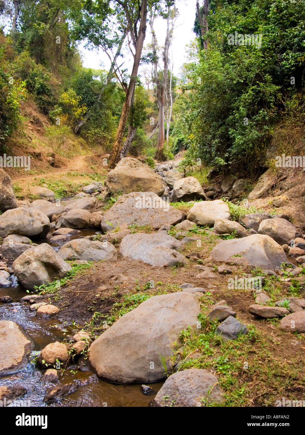 Source Source Source en bas de la rivière riverbed lit NALEMORU RIVER Oloitokitok LOITOKITOK Kenya Afrique de l'Est Banque D'Images