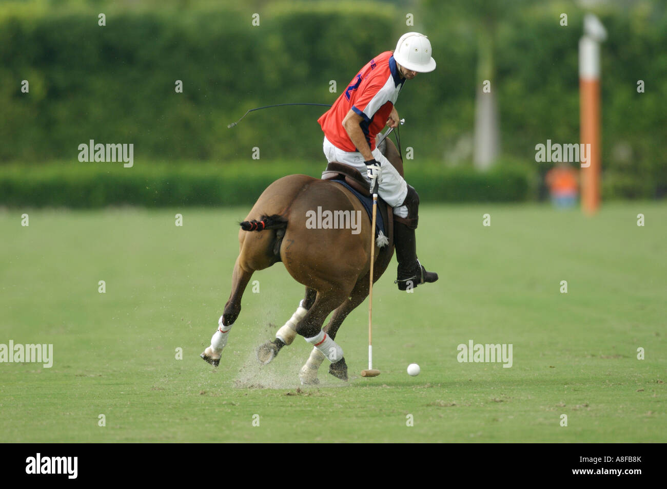 Gonzalo von Wernich Pony Express Joe Barry Memorial Cup Polo Club Palm Beach en Floride 18 Janvier 2007 Banque D'Images