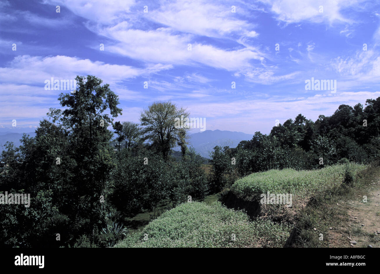 Dhulikhel environs dans la vallée de Katmandou au Népal Banque D'Images