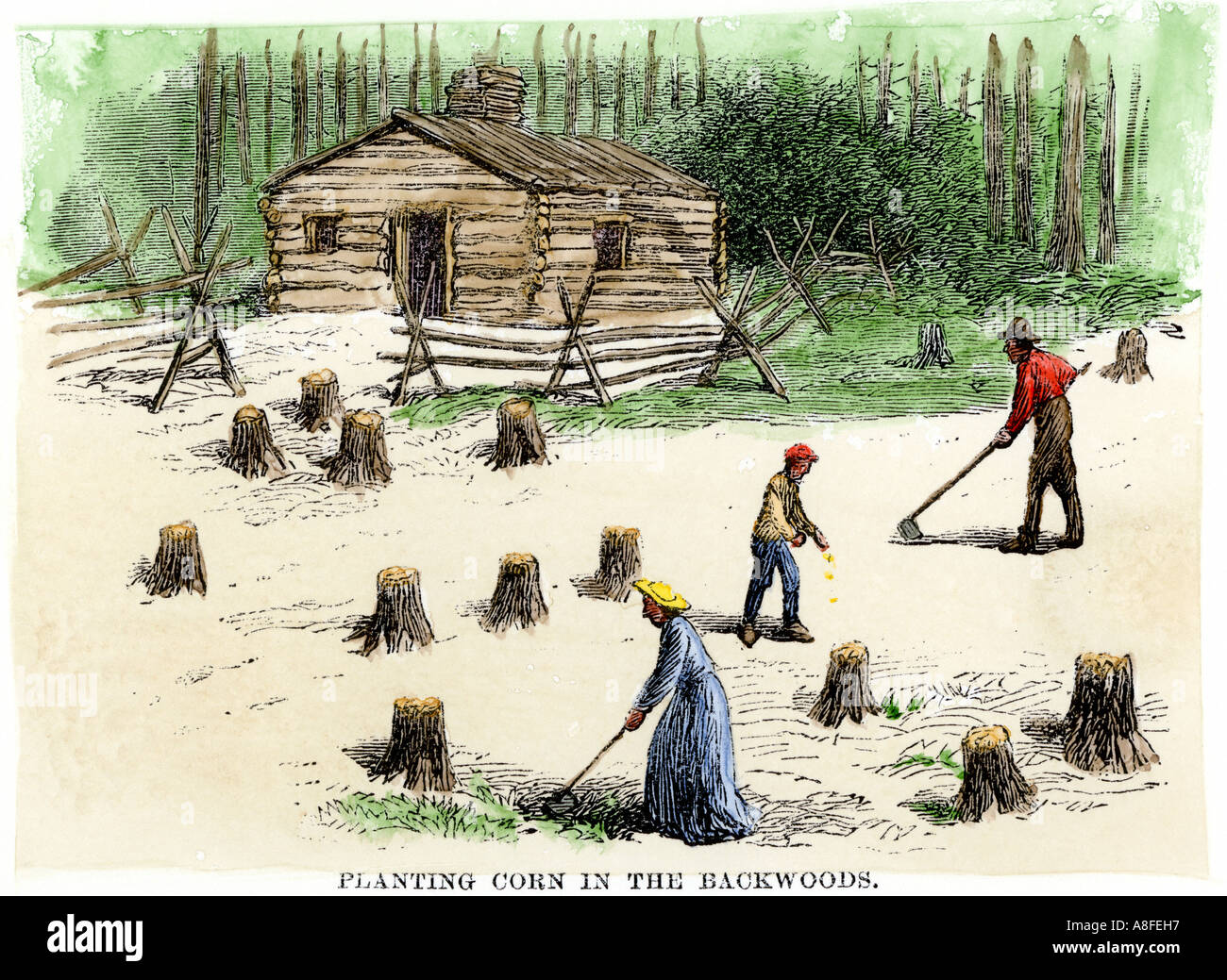 La plantation des pionniers du maïs sur des terres nouvellement défrichées dans le fond. À la main, gravure sur bois Banque D'Images