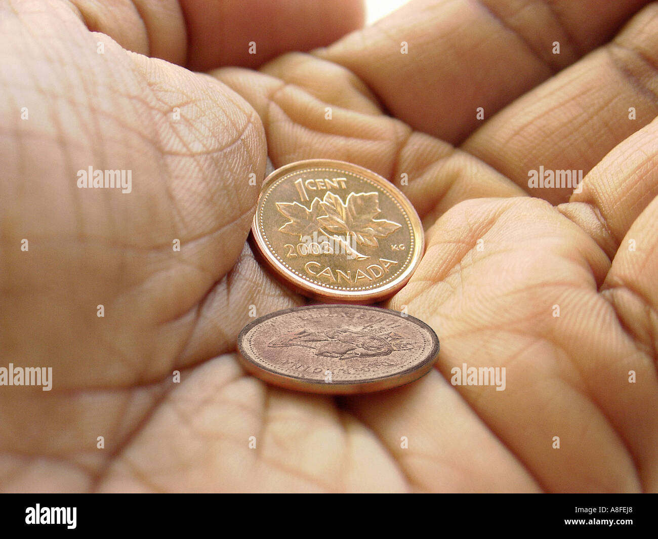 Monnaie canadienne Deux pièces dans la main Banque D'Images
