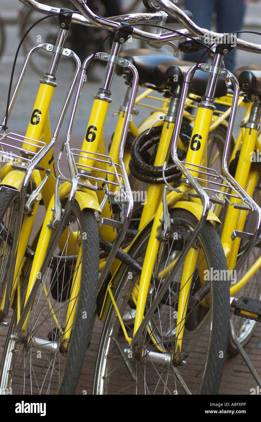 Quatre vélos de location vélo jaune identique à Amsterdam Banque D'Images