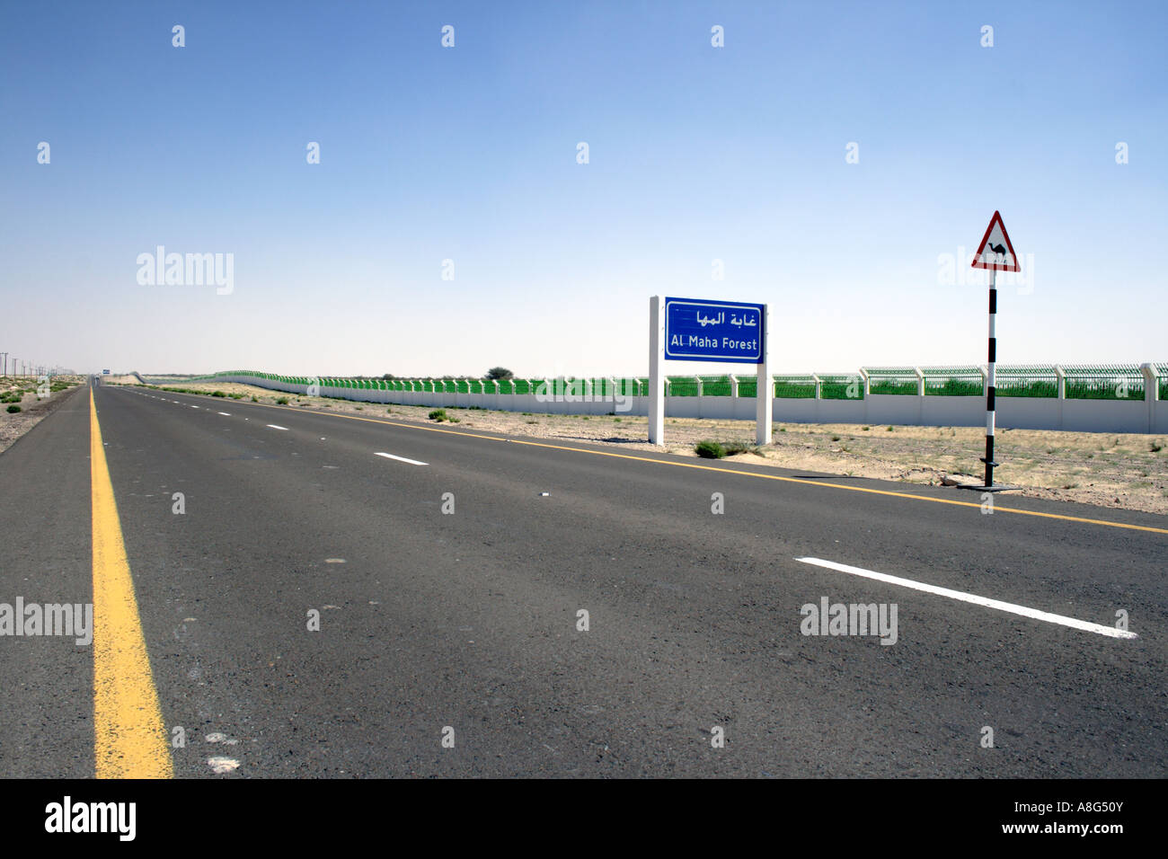 Route de campagne à l'hôtel Al Maha forêt dans l'Al Maha Desert. Emirats Arabes Unis. Photo par Willy Matheisl Banque D'Images