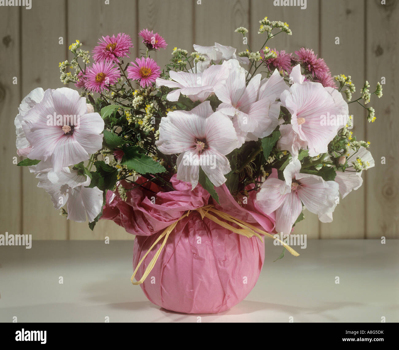 Avec bouquet mauve rose , statice et New England aster Banque D'Images
