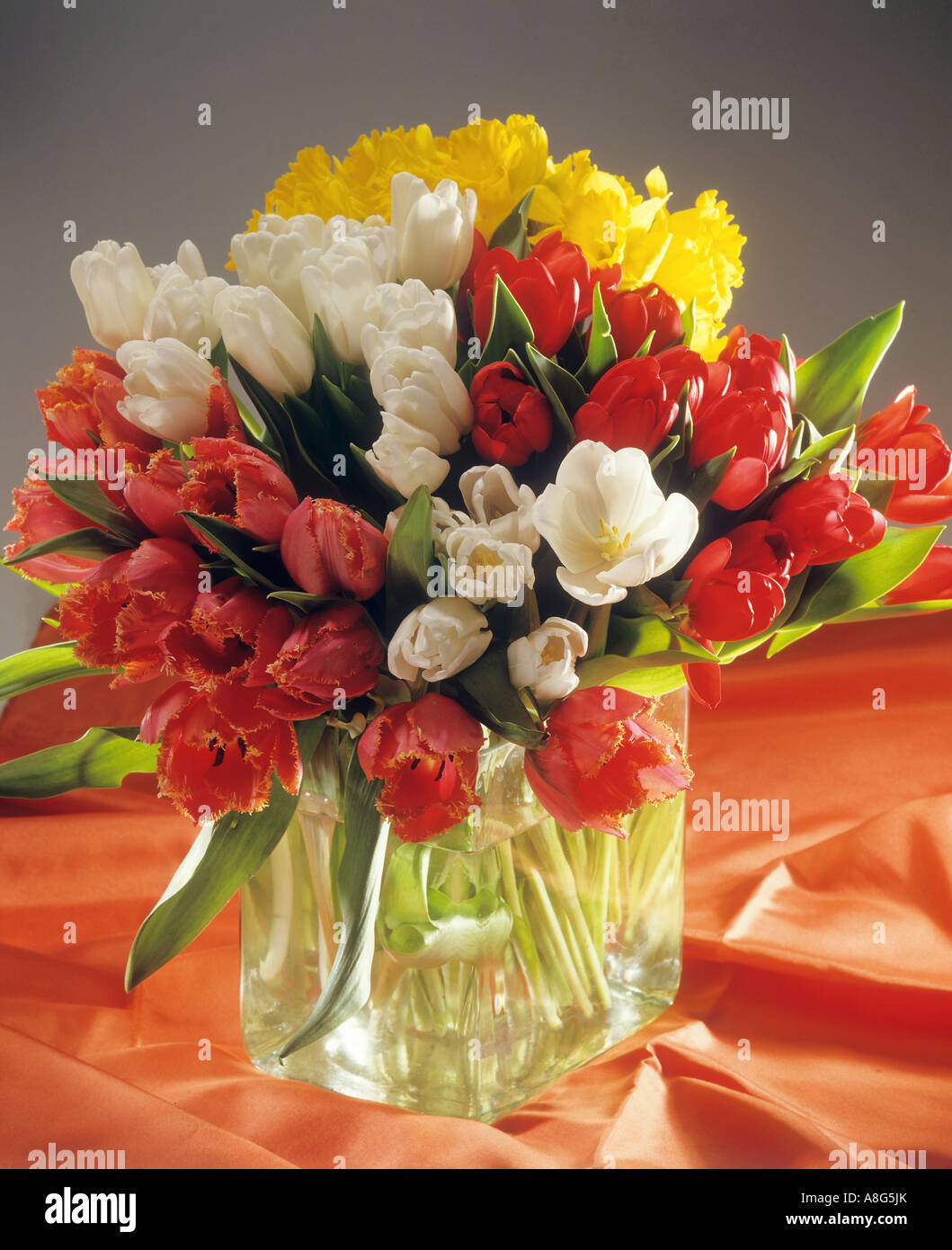 Bouquet de tulipes et de jonquilles Banque D'Images