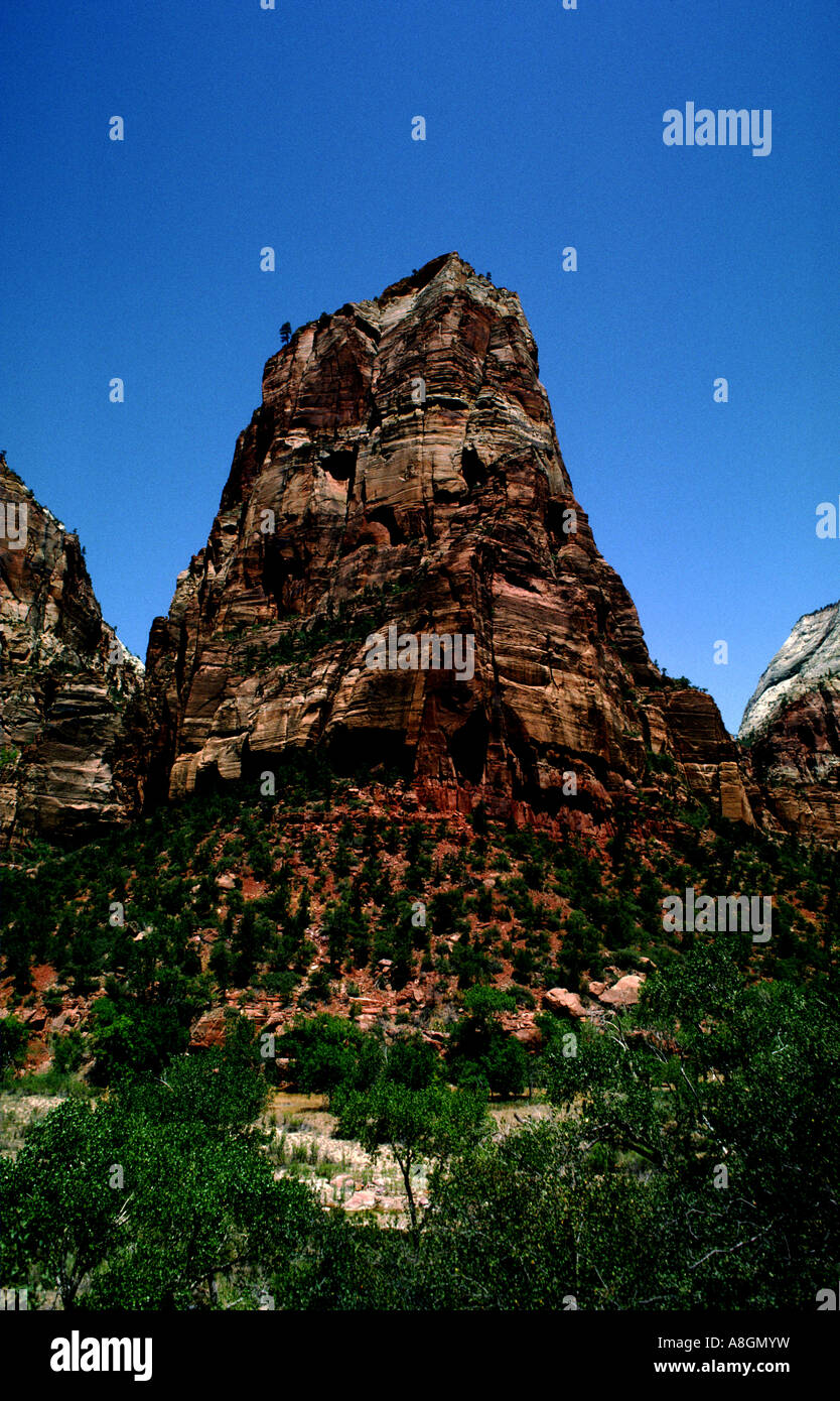 Zion National Park Utah USA géologie falaise rock United States of America North America West Banque D'Images