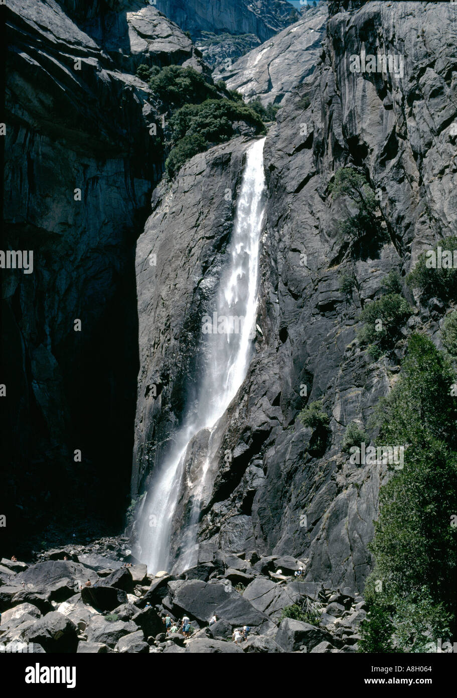 20331 Yosemite Falls inférieur Yosemite National Park California USA Banque D'Images