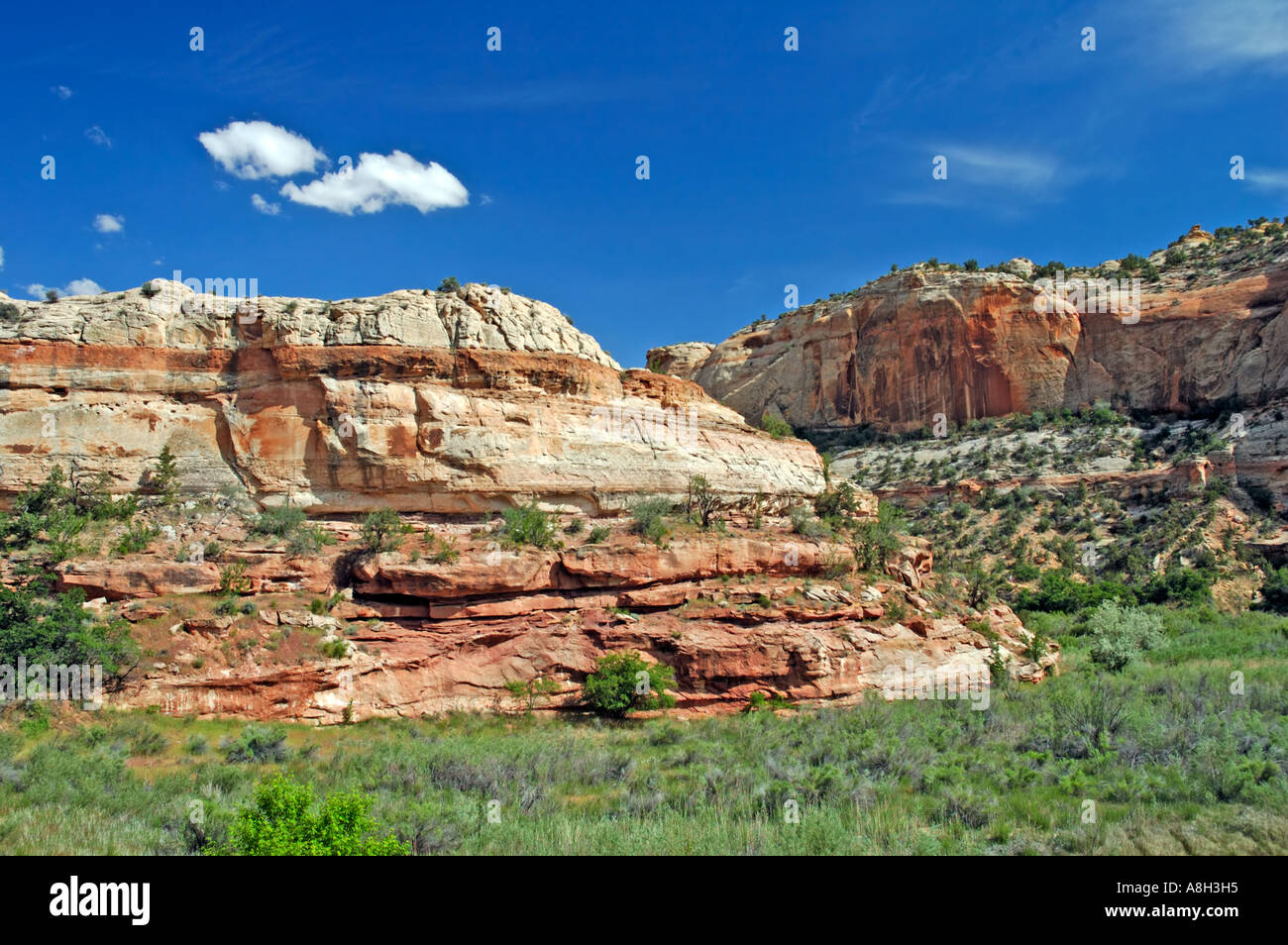 Paysage sur la piste de Calf Creek Falls Banque D'Images