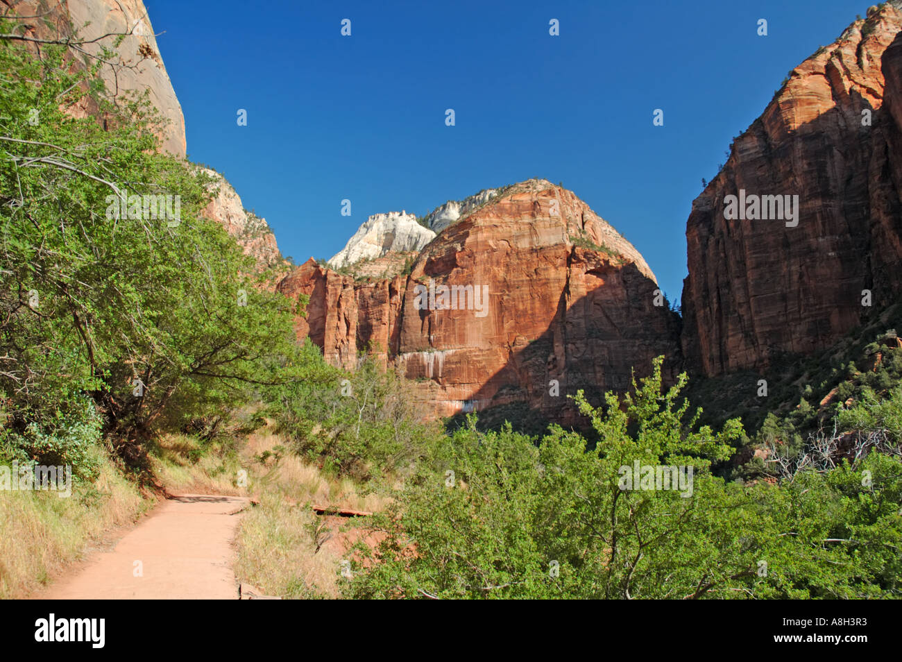 Emerald Pool Trail Banque D'Images