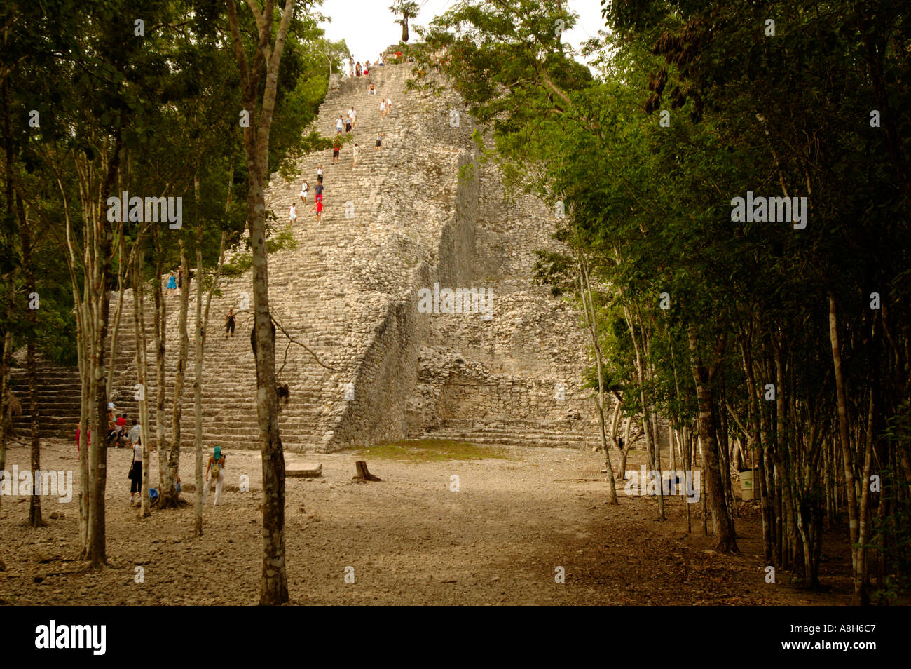 Le Mexique, Yucatan, Coba, El Castillo Banque D'Images