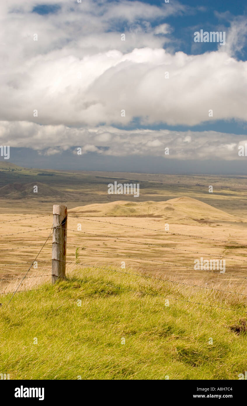 Barbelés et vue de l'Indiana Ranchlands des Prairies sur la Big island Hawaii United States Banque D'Images
