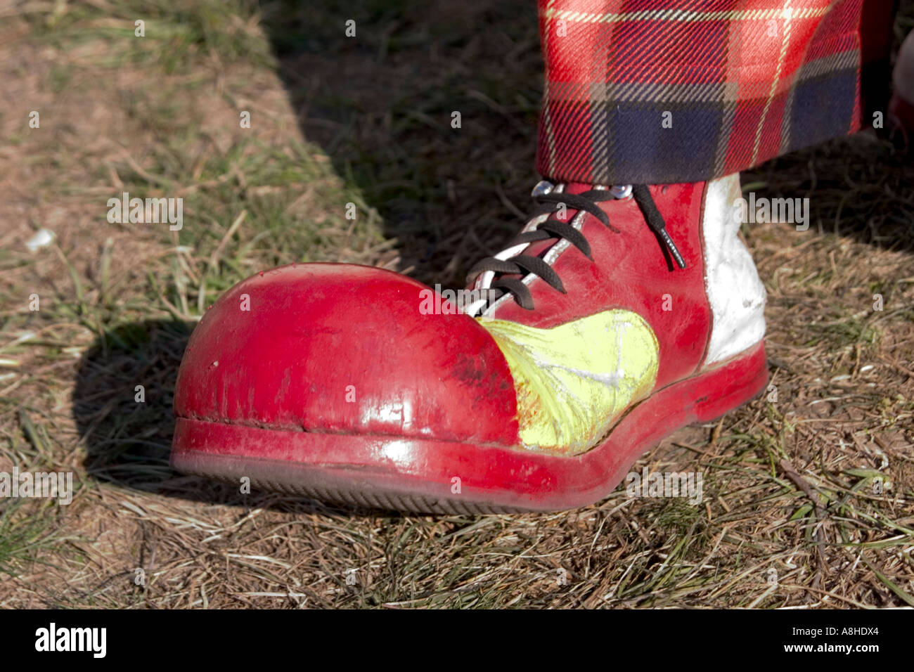 Chaussure de clown Photo Stock - Alamy