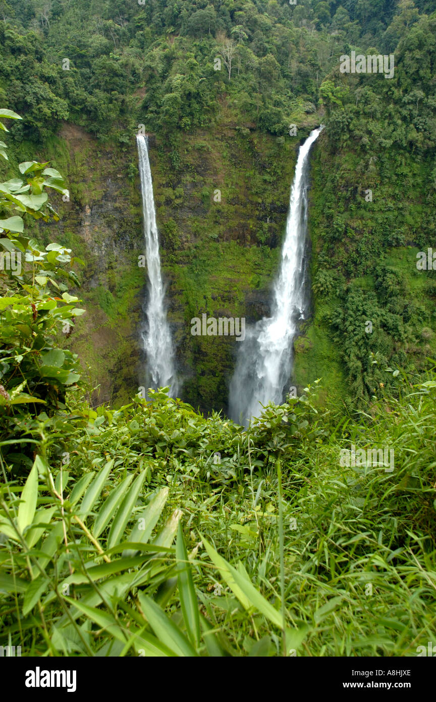 Cascade de Tad Fane Plateau des Bolavens près de Pakse Laos Banque D'Images
