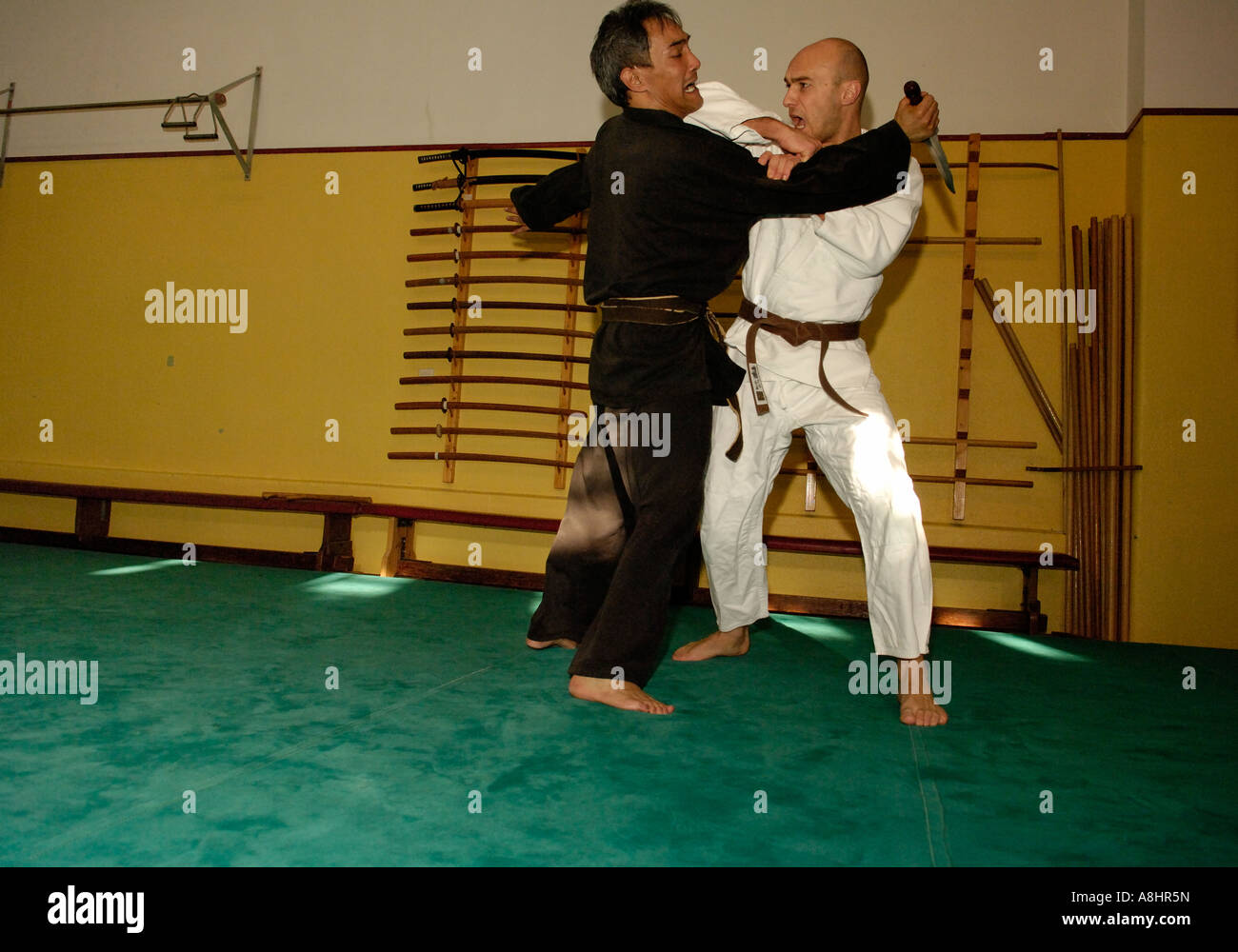 Jiujitsu gÔ S piscine deux hommes Banque D'Images