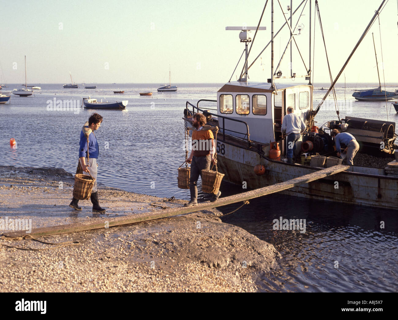 les archives des années 1980 voient des hommes sur une planche de marche à l'aide de chapes d'épaule Pour transporter des paniers de poisson de coquillages du bateau de pêche 80s Leigh Sur Sea Southend Essex Angleterre Royaume-Uni Banque D'Images