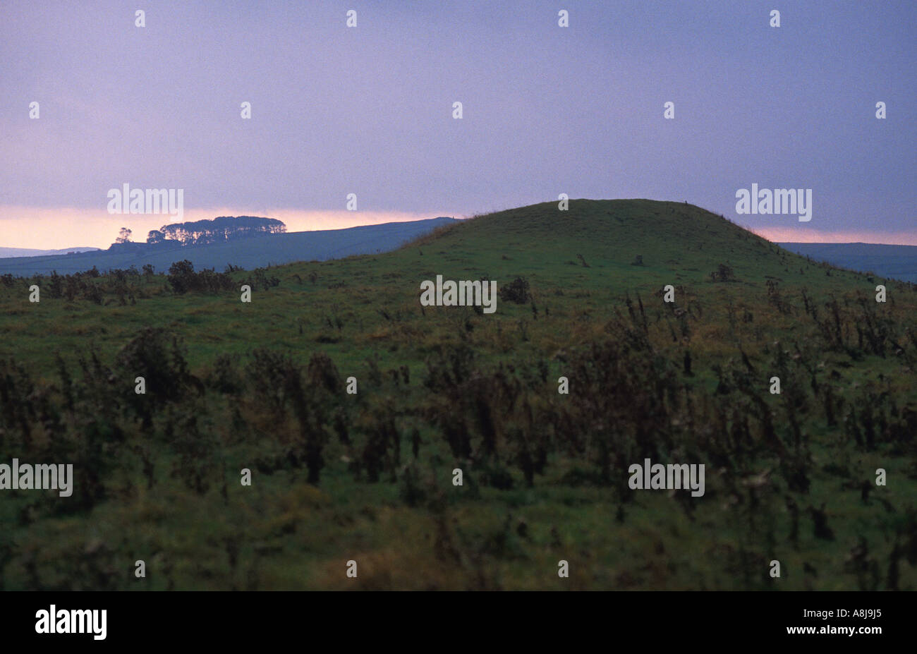 Gibb Hill tumulus funéraire 200 mètres au sud-ouest de l'arbre faible dans le Peak District du Derbyshire Banque D'Images