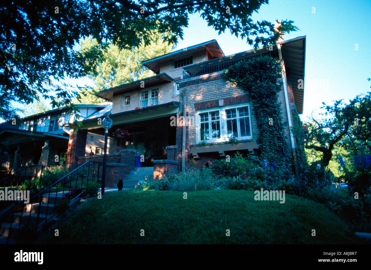 Maison de banlieue avec Black Cat Banque D'Images
