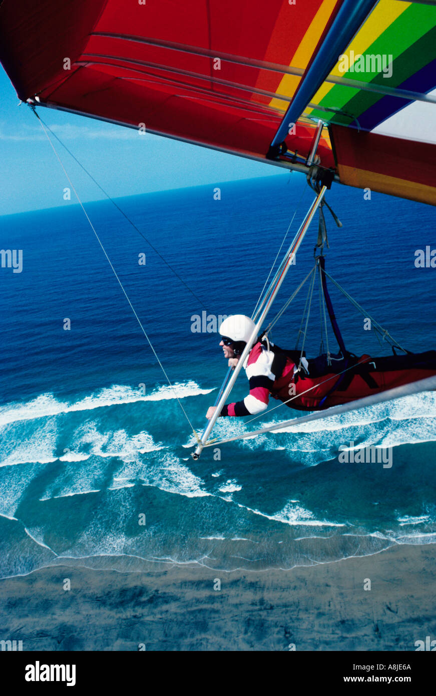 Un planeur au-dessus de Torrey Pines Californie USA Banque D'Images