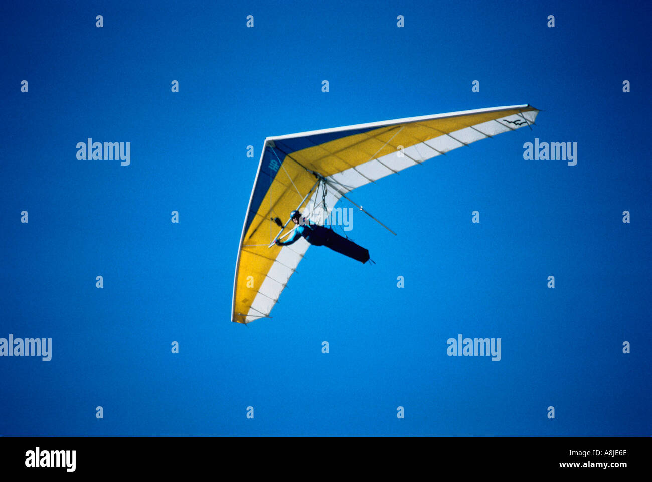 Un planeur au-dessus de Torrey Pines Californie USA Banque D'Images