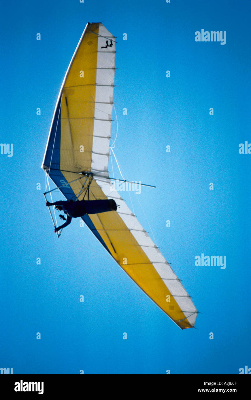 Un planeur au-dessus de Torrey Pines Californie USA Banque D'Images