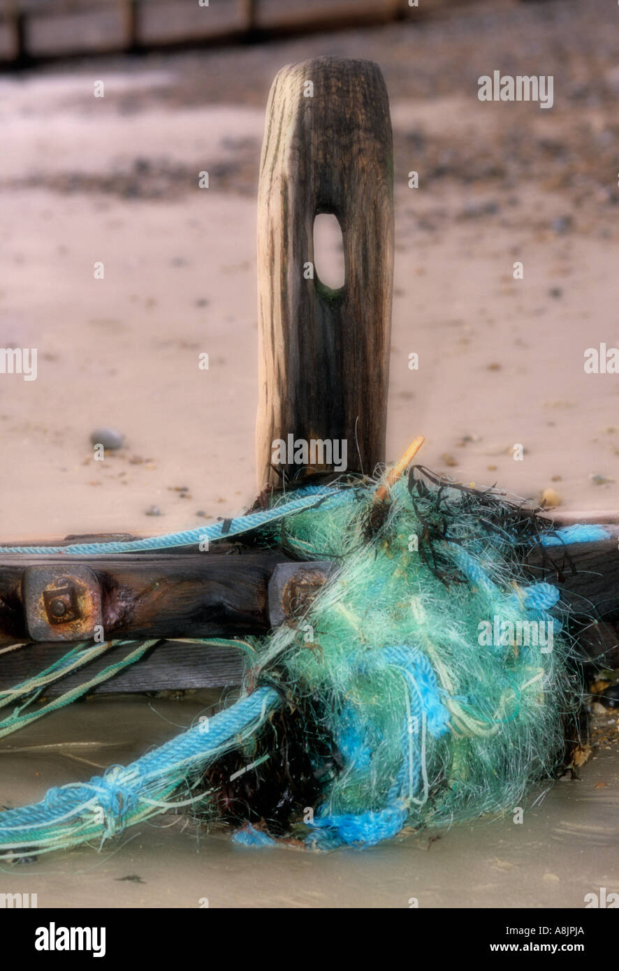 Épi sur Worthing Beach drapé de vert et bleu net des pêcheurs Banque D'Images