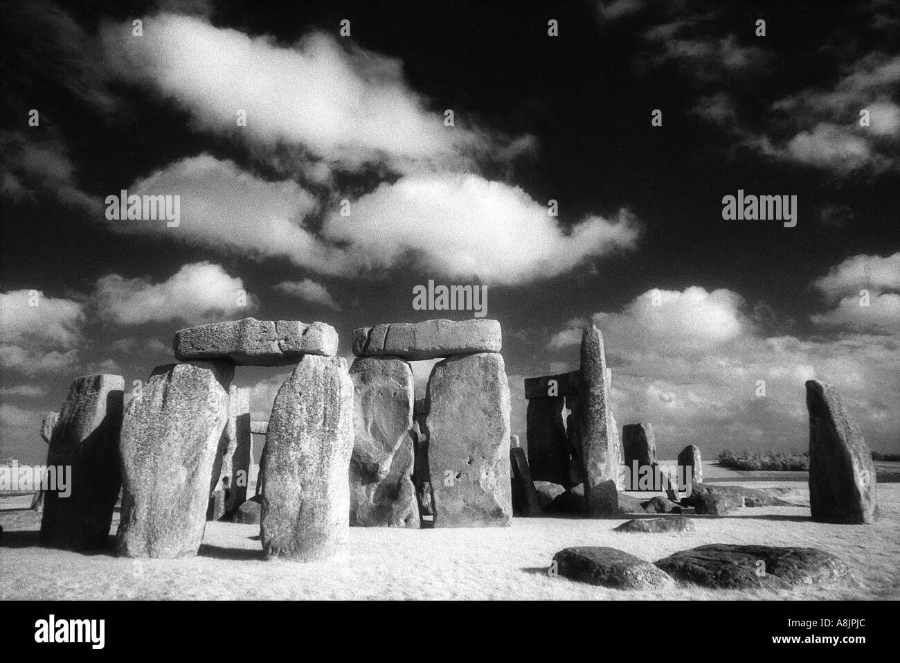 Stonehenge Wiltshire England UK Banque D'Images