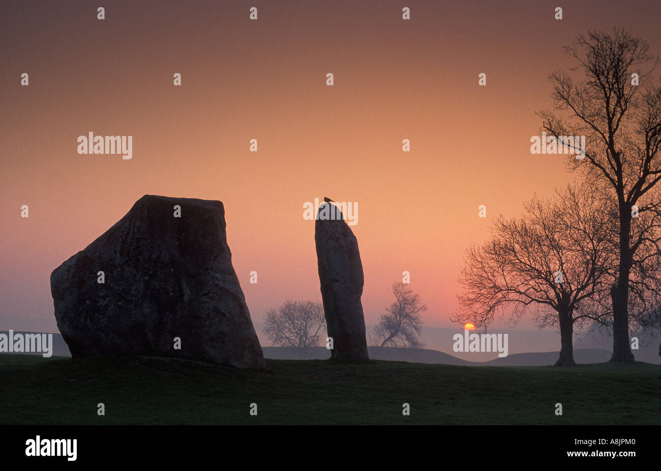 Dawn la pierre ancienne circle Avebury Wiltshire England UK Banque D'Images