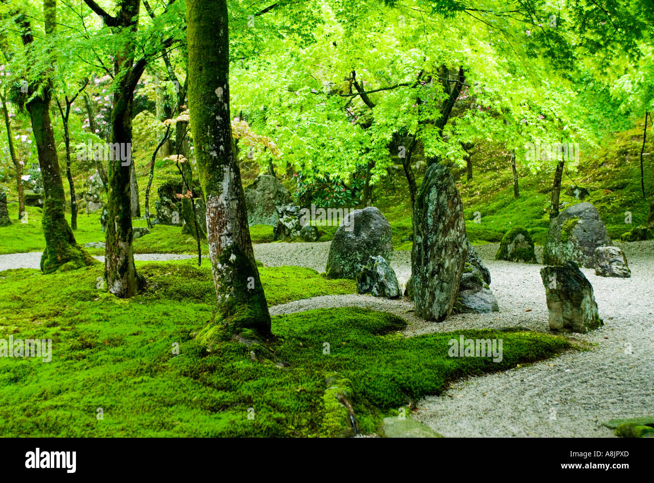 Détail de jardin zen sec au temple Dazaifu de Fukuoka Japon Komiyo-Ji Banque D'Images