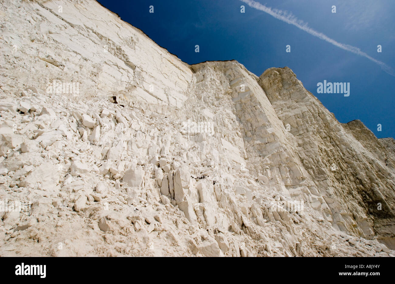 Vue vers le haut des falaises à Urrugne dans l'East Sussex, Angleterre après une récente chute de Falaise. Banque D'Images