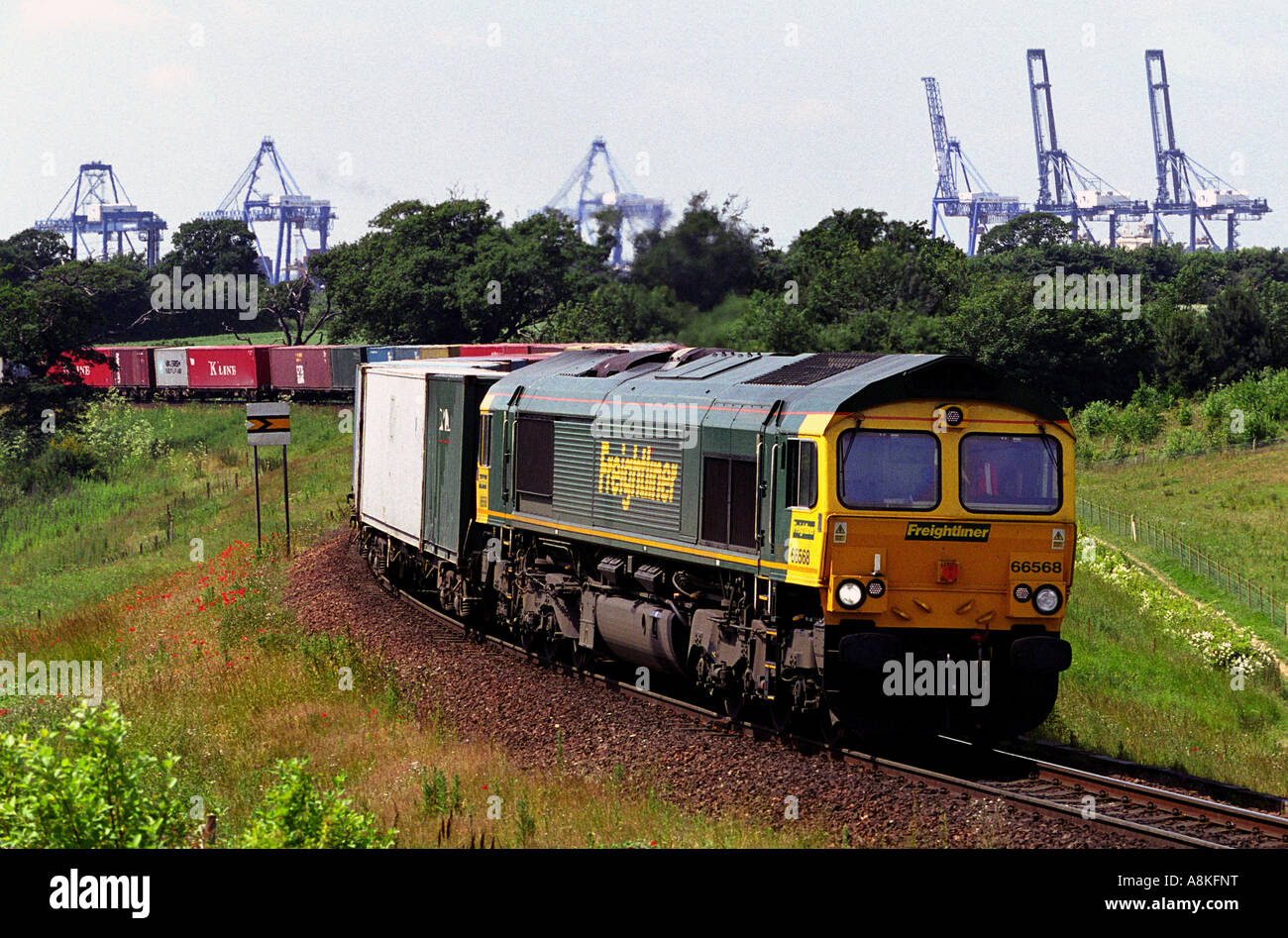 Locomotive diesel de la classe 66 Freightliner le transport de conteneurs au port de Felixstowe, Suffolk, UK. Banque D'Images
