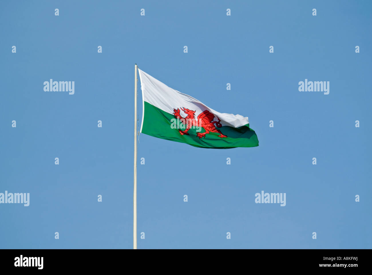 De près de l'horizontale du drapeau gallois de haut vol sur le château de Cardiff [Castell Caerdydd] contre un ciel bleu Banque D'Images