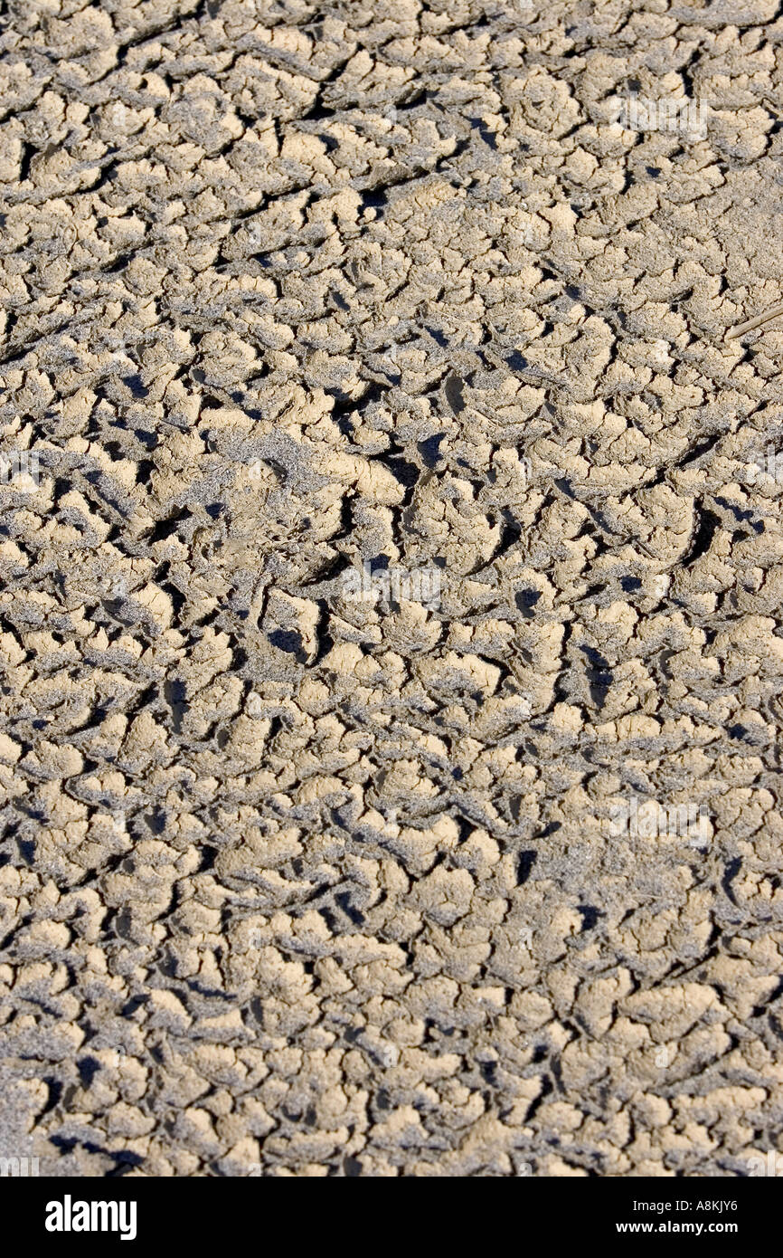 Dans les modèles croûté étrange sable sur plage en Espagne fait par les hautes températures Banque D'Images