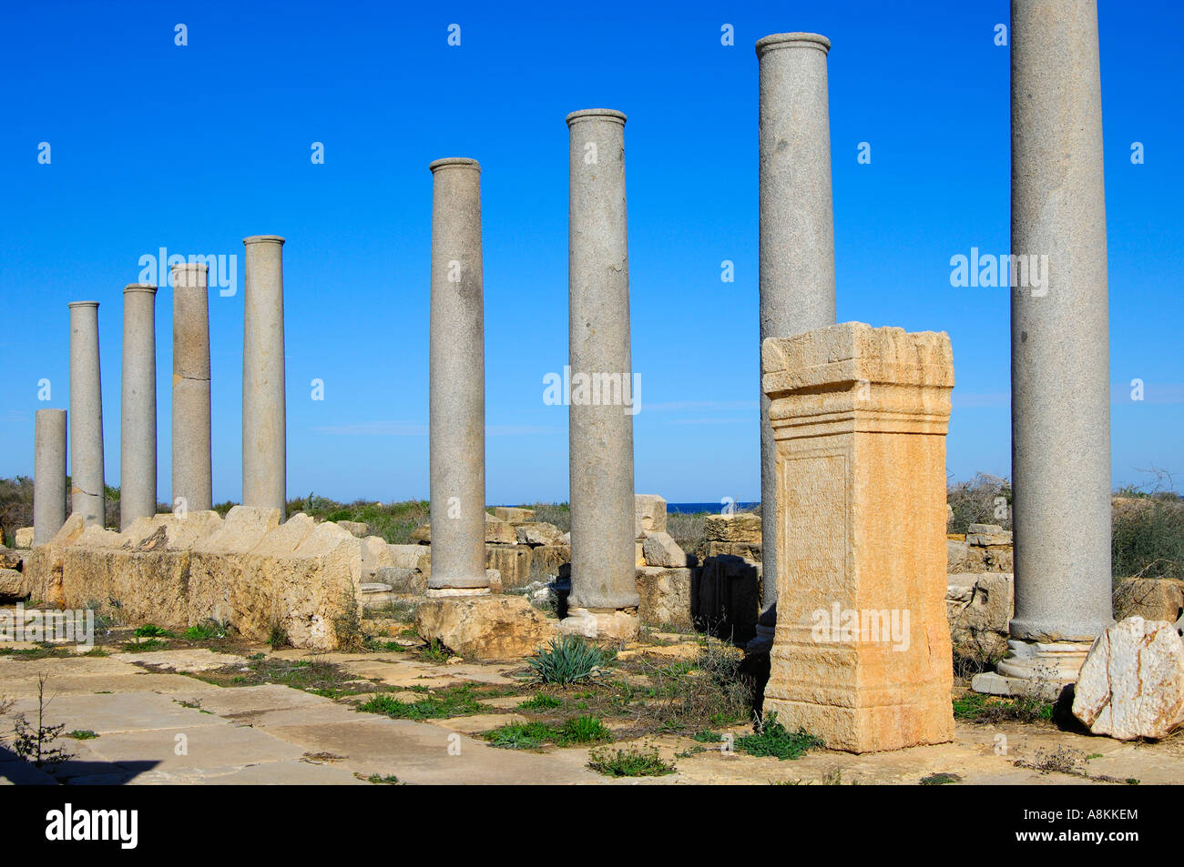 Colonnade Corinthe antique avec capitels, ruines romaines de Leptis Magna, Libye Banque D'Images
