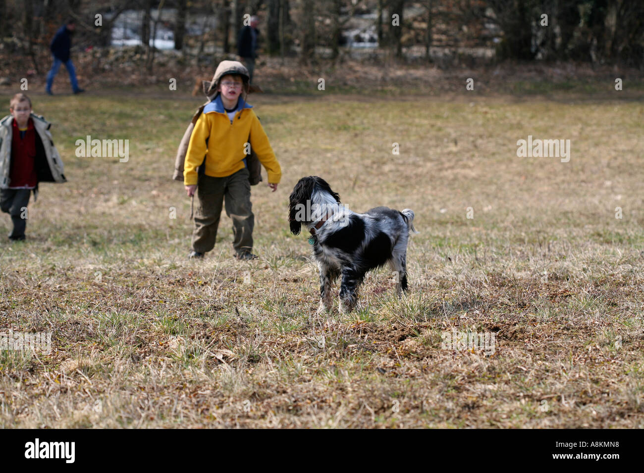 Famille avec enfants et chiens de marcher et jouer à l'extérieur dans le parc naturel d'arbres et de creek en Suisse le week-end de printemps précoce Banque D'Images