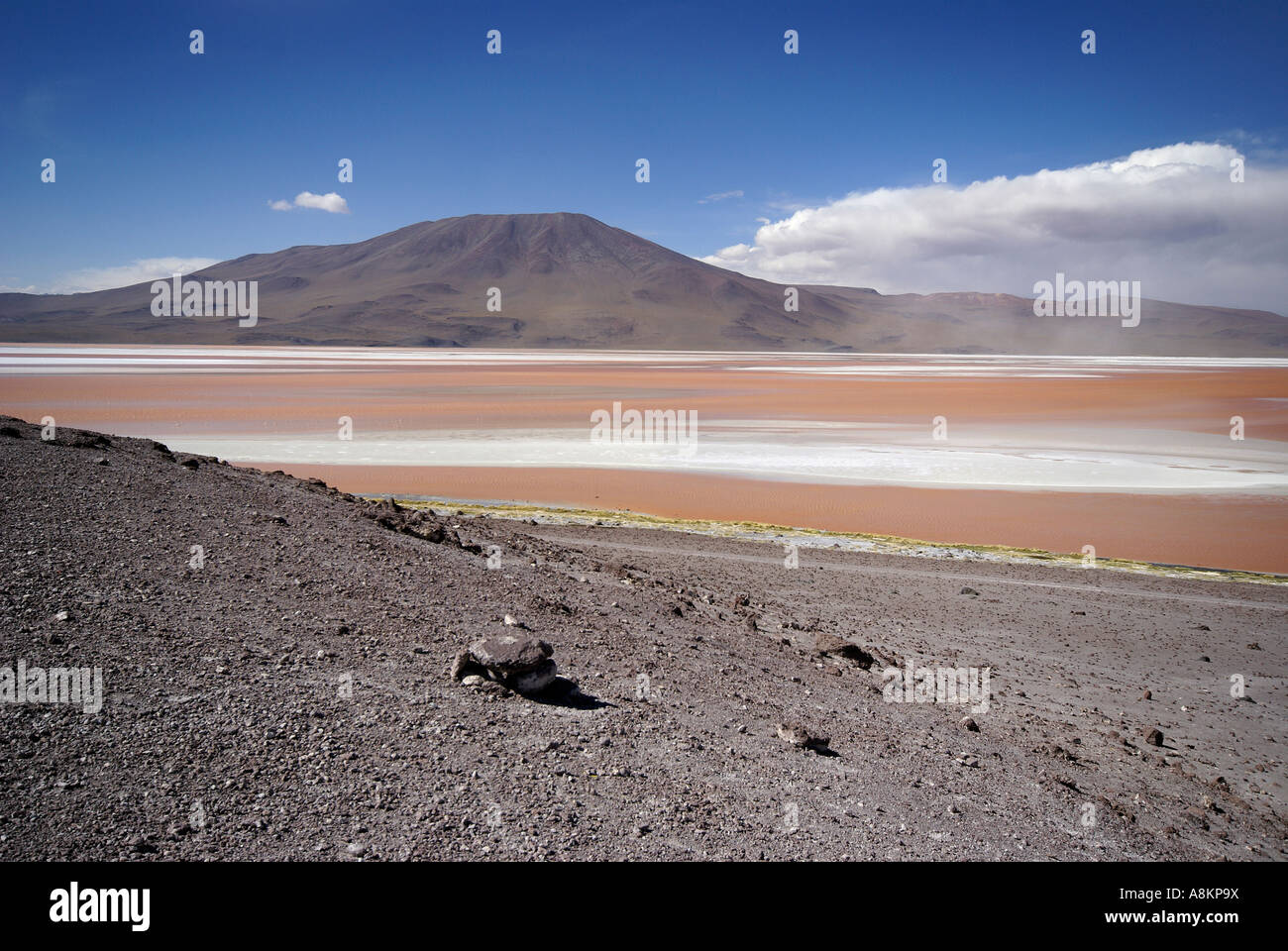 La Laguna Colorada et Vulcan dans l'Uyuni, Bolivie Highlands Banque D'Images