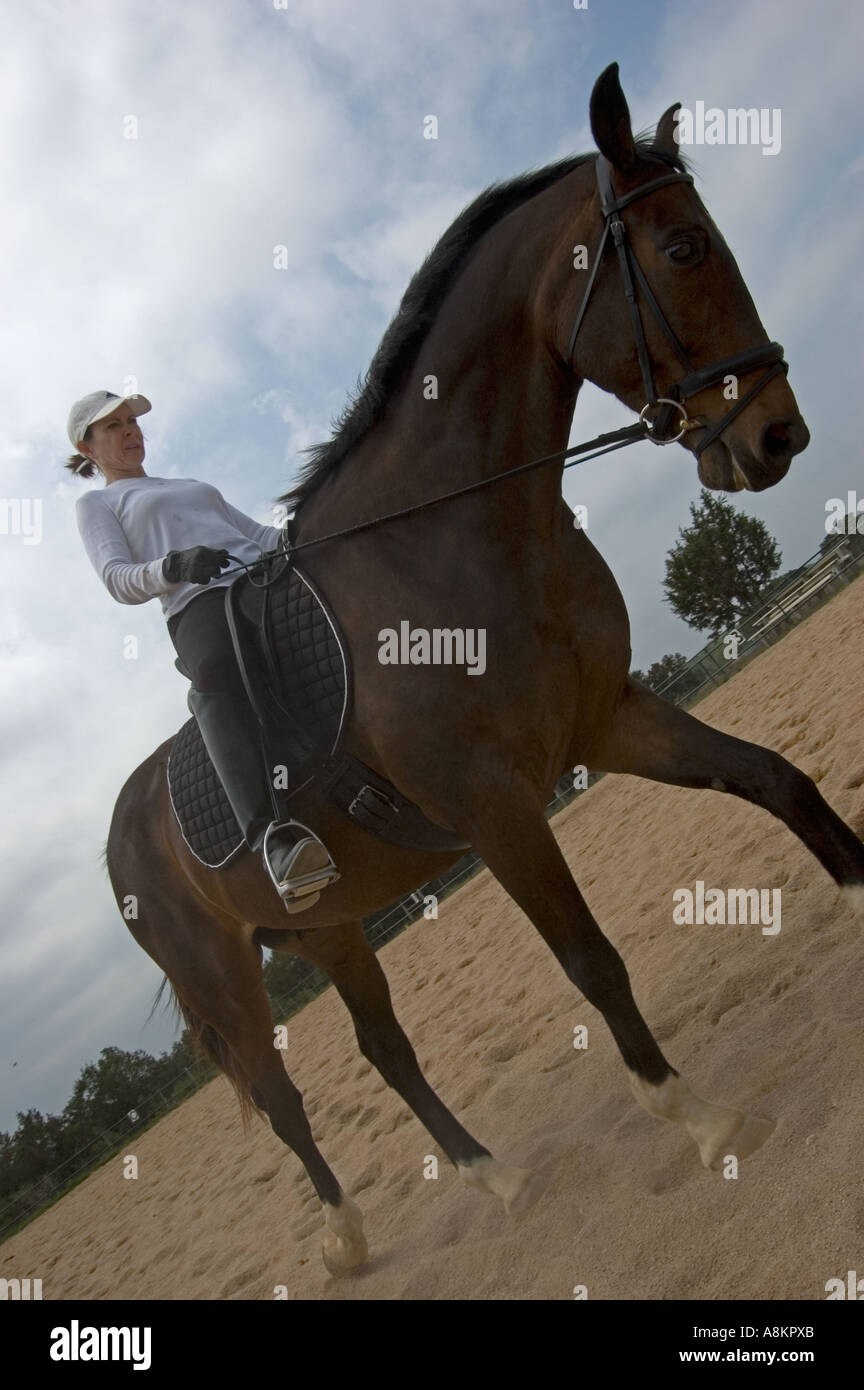 Femme sur cheval en arène de sable Banque D'Images