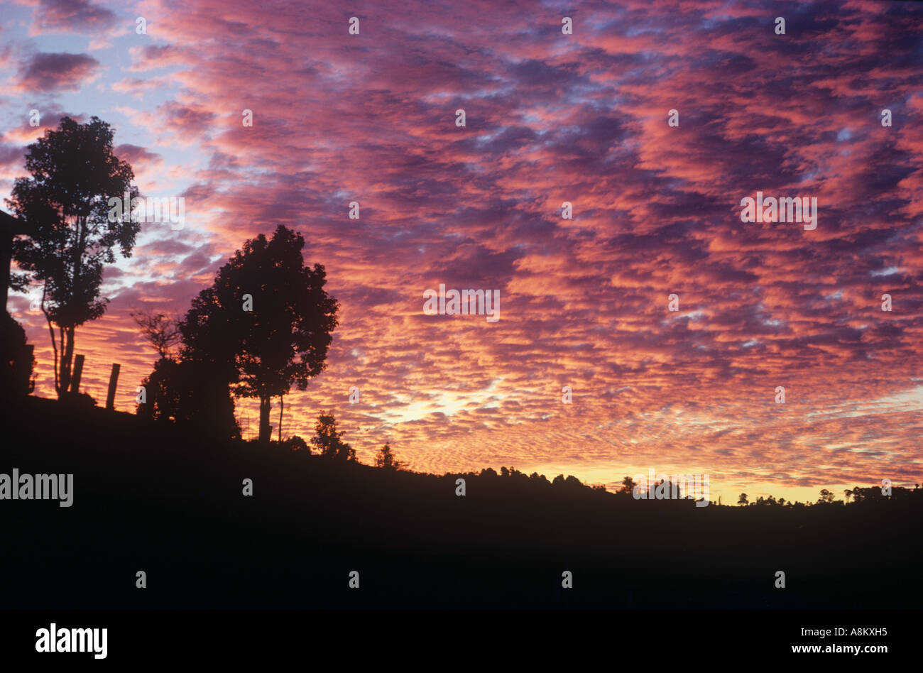 Ciel rouge après un incendie dans les Montagnes Bleues de NSW, Australie Banque D'Images