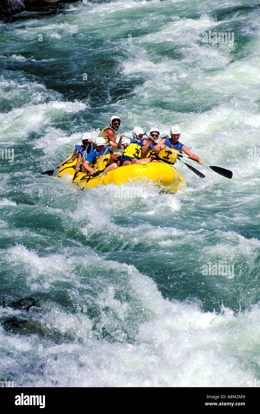 IDAHO BITTERROOT WILDERNESS SELWAY Rafting sur la rivière Selway North Central M. Id Banque D'Images