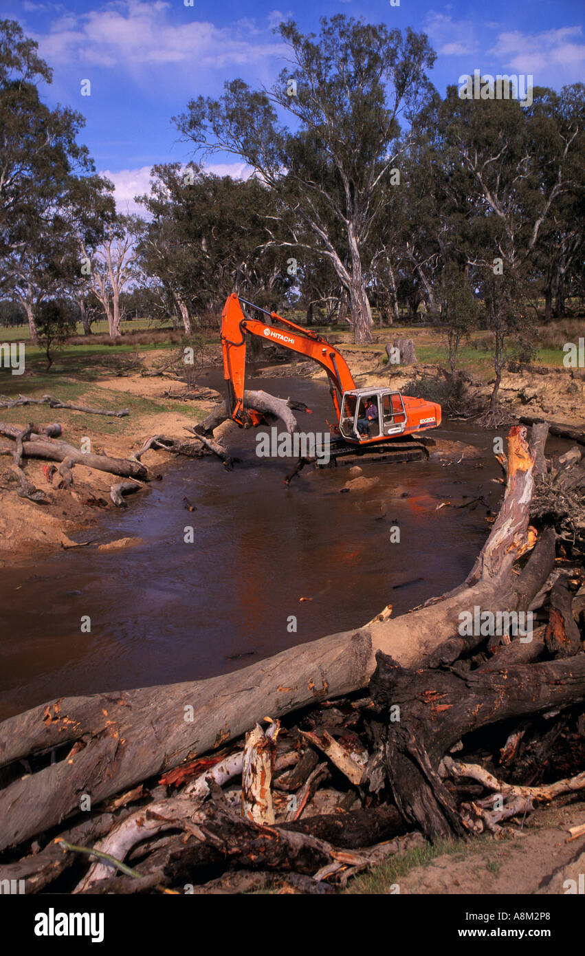 Compensation de l'excavateur arbres tombés de Creek, près de Euroa SW Victoria Australie la verticale Banque D'Images